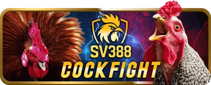 Điền thông tin đăng ký bot88